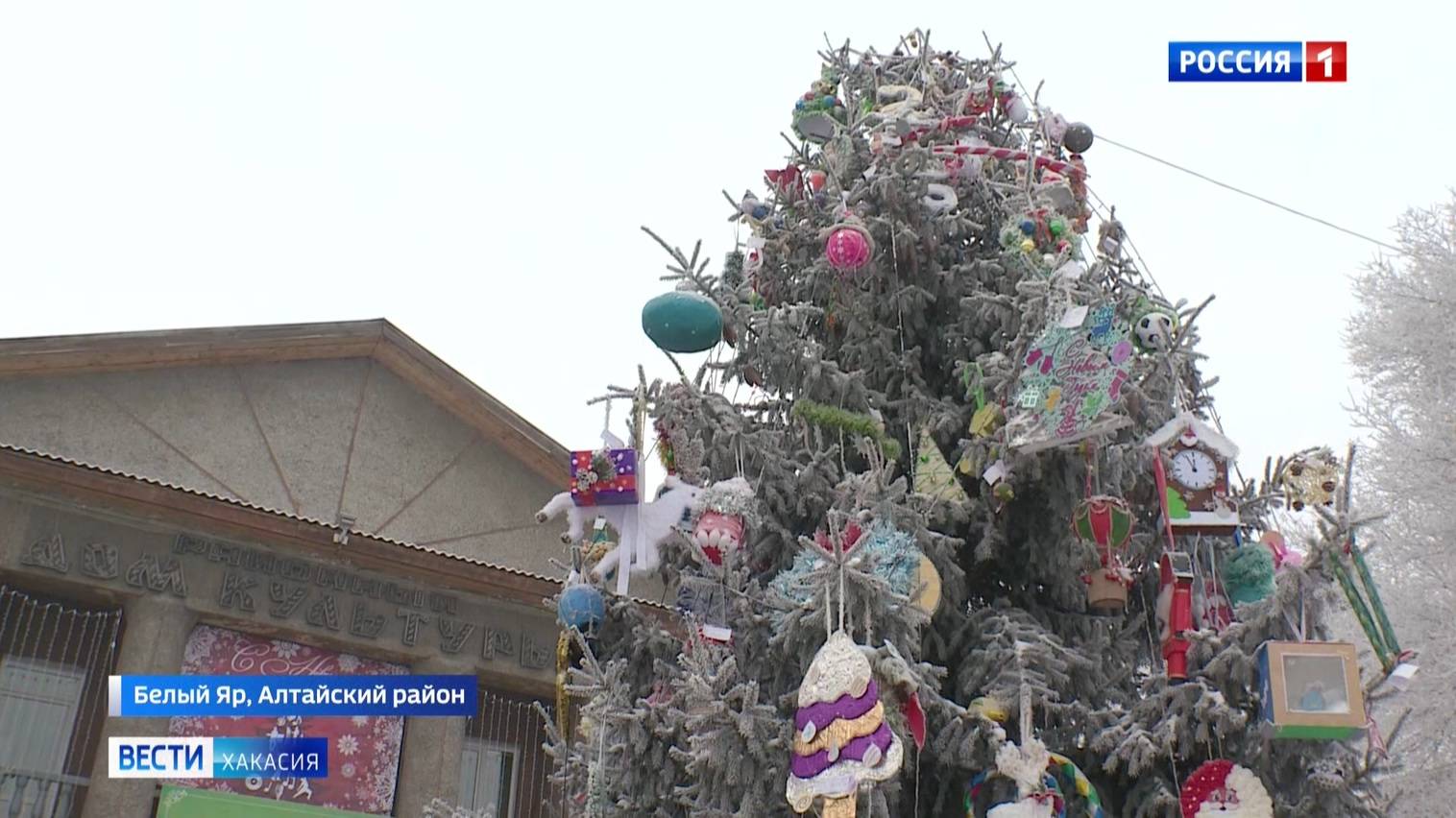 В Белом Яре зажгли главную елку района смотреть онлайн