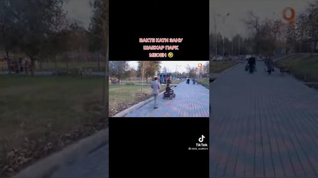 гр Арабшо 2022