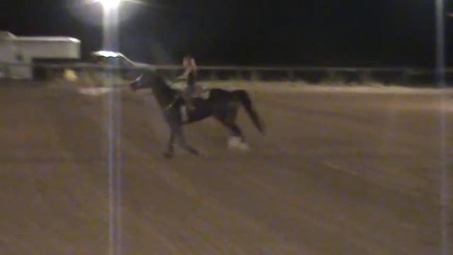 The little barrel racing diva (Kenzie) 6/26/10 смотреть онлайн