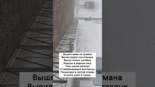 У нас туман....#настроение #юмор #фразы #улыбнись #жизнь #утро #город #сегодня #весна смотреть онлайн