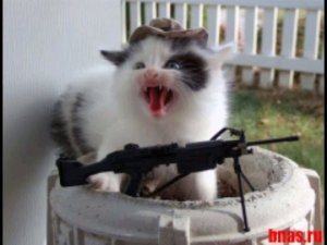 оу