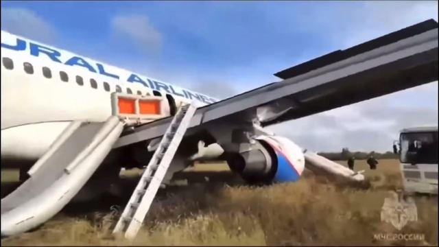 Самолет Уральских Авиалиний совершил экстренную посадку в поле | Arbus A320-200 Ural Airlines