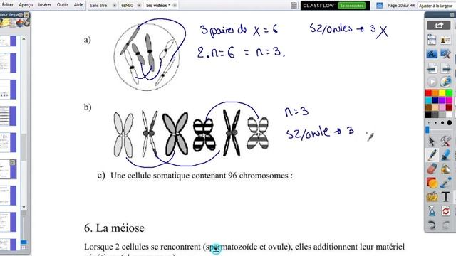 n°2.3: cellule haploïde et diploïde + synthèse mitose смотреть онлайн