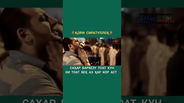 Сахар Бархез ки тоат кун ки тоат бех зи хар кораст смотреть онлайн