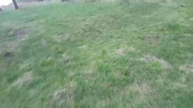 Покатушки на самодельном грузовичке(дочь отжала грузовичок) смотреть онлайн