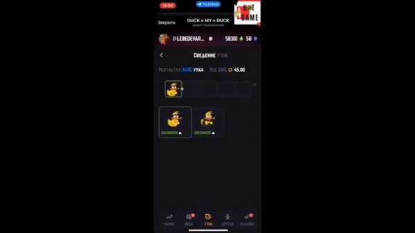 Как улучшить своих уток в игре Duck my duck dmd