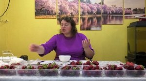 7 серия КЛУБНИКА замер сахара в клубники