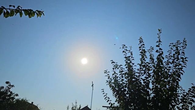 Парадокс 2 км а голуби уже другие смотреть онлайн