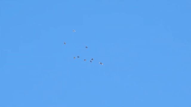 Утром просто залезть на крышу смотреть онлайн