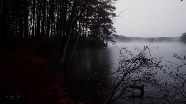 Relaxing Walk In Thunderstorm, Binaural Rain And Nature Sounds For Sleep And Study _ 4k ASMR