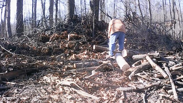 # 216 It's A Beautiful Day To Be Cutting Firewood смотреть онлайн