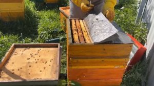 ВЫВОД МАТОК, УНИКАЛЬНЫЙ МЕТОД  ЧАСТЬ 2