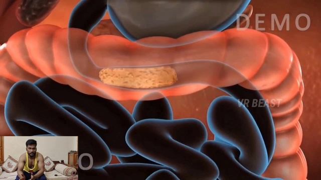 What is Protein.?, protein body building lo ela use avuthundi.? Muscles memory ante enti.? смотреть онлайн
