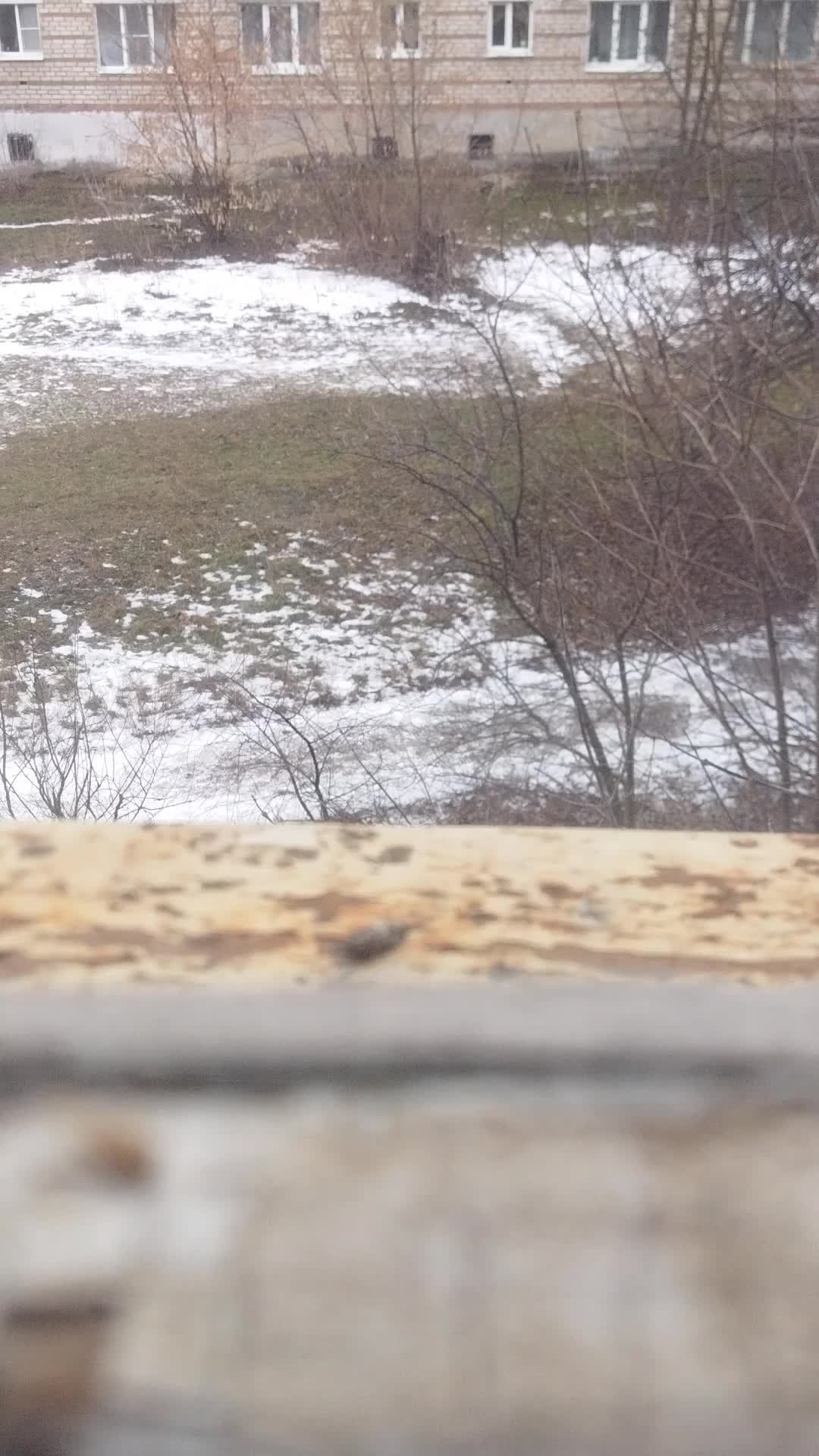 каплю на мд