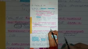 An overview of cell