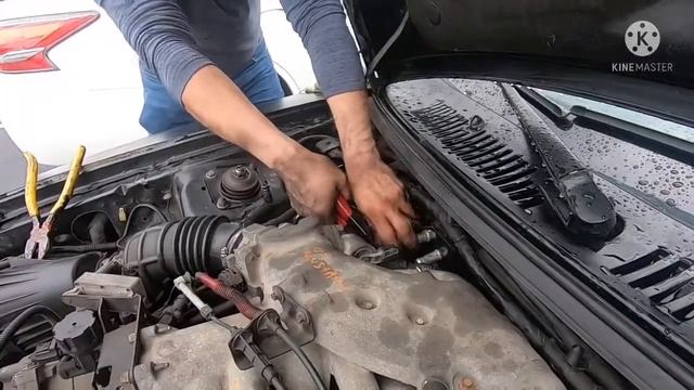 Cambiando las mangueras del Antifreeze al Mustang 99 🏎🐎 смотреть онлайн