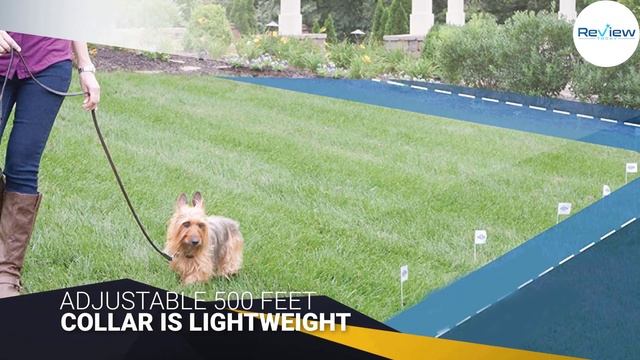 Top 5 Best Wireless Dog Fences [Review in 2022] - Waterproof Collar for Pets смотреть онлайн