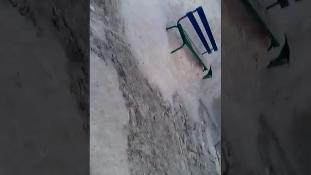Убирайте за собаками!!! смотреть онлайн