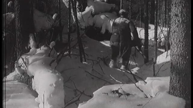 Охота на медведя на берлоге №2 смотреть онлайн