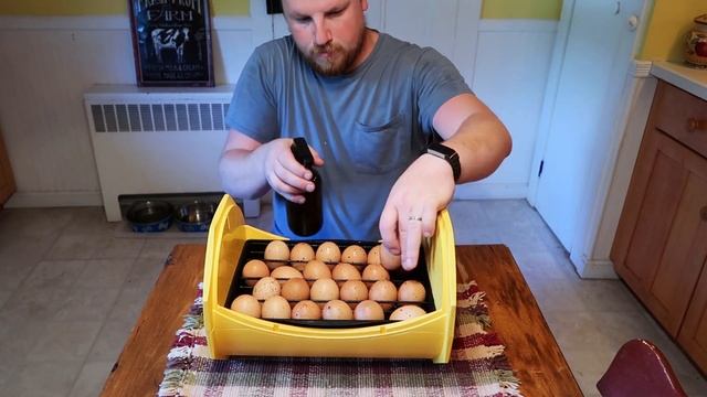 How to Improve Your Hatch Rate смотреть онлайн