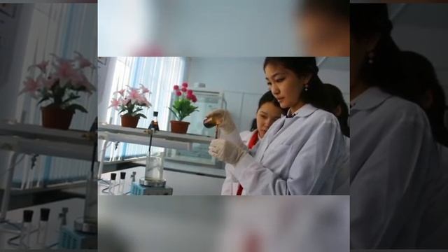 Кузембаева К. Пикнометр смотреть онлайн