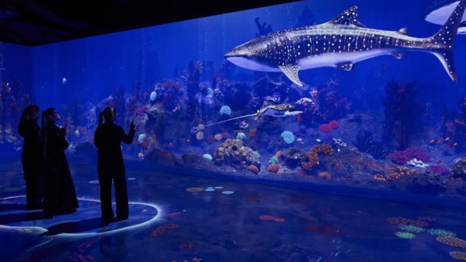 Погружение в Марианскую впадину, VI Океан | Иммерсивное шоу от SILA SVETA | Luminar x смотреть онлайн