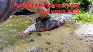 Рыбалка на хариуса в верховьях маленькой горной реки. 4-5 июня 2022 года.