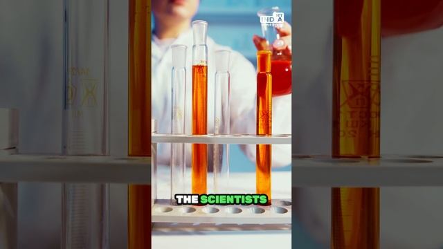 इस गांव में चलते-चलते सो जाते हैं लोग| OTT India смотреть онлайн