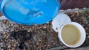 Работа механического фильтра из колготок 200 ден!