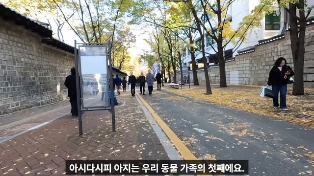 SUB/PDF)Korean Podcast For Beginners: Our Family + Conversations At A Ticket Booth Vlog Korean Ep 7