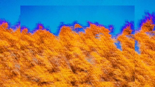 FREE "birds" hard chill sample hip hop rap type beat 2022 (Prod. Tylr) смотреть онлайн