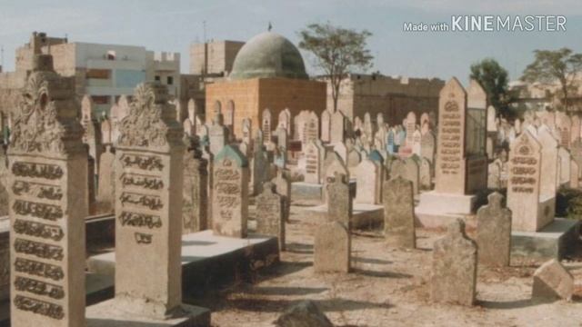 ТАСИРЛИ КУШИК, ИНДАМАСЛАР ОЛАМИ.