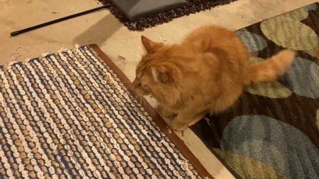 A Sunday morning with Cinnabon смотреть онлайн