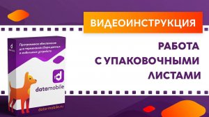 DataMobile 3: Работа с упаковочными листами