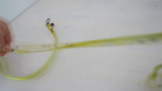 Болтовлог говорящей собаки Дони/№1 Новости за июль и август. смотреть онлайн