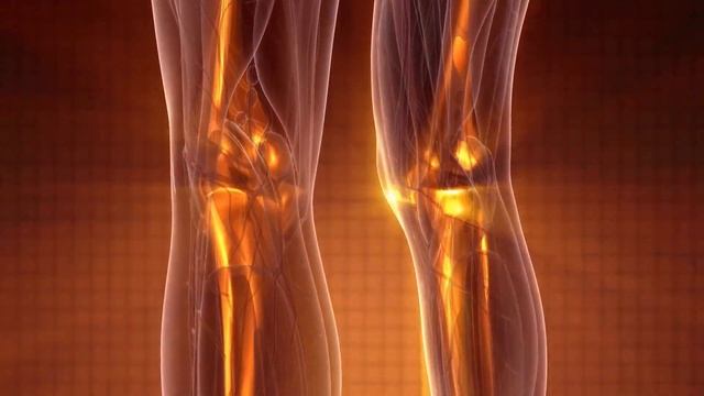 iHeRQles Wellness смотреть онлайн