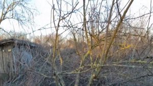 25-26 февраля 2024/переезд на юг