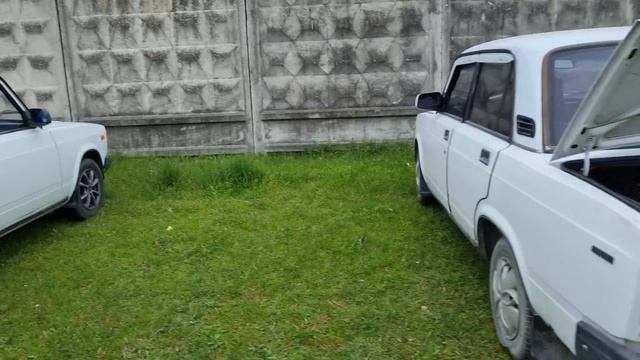 Голуби Птичий рынок г Беслан смотреть онлайн