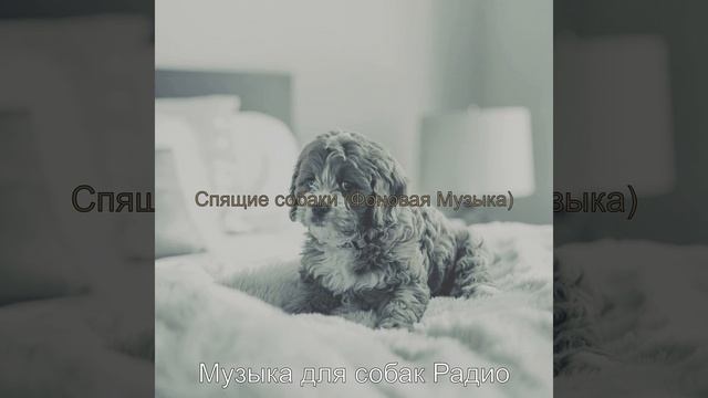 Звуки (Собаки) смотреть онлайн