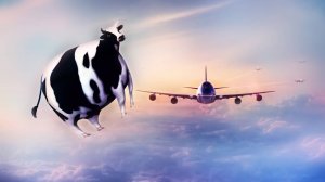 Летающая Корова - Наталия Лансере / весёлая детская шуточная песенка / Best Children Songs