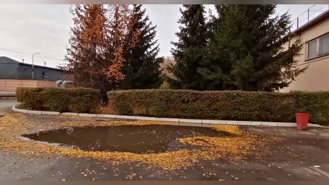 Наступление зимы смотреть онлайн