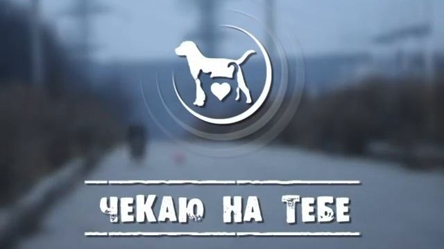 "Чекаю на тебе" выпуск № 75 смотреть онлайн