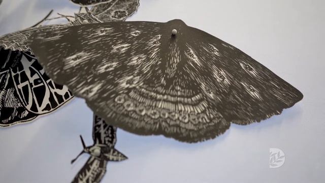 Meet the Artist: Hilary Lorenz of Moth Migration Project смотреть онлайн