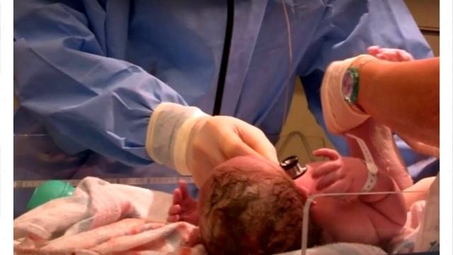 То, что нашла эта собака на мусорке, повергло в шок окружающих! смотреть онлайн