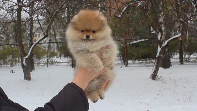 004+ Малыш Мультик