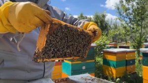 УНИКАЛЬНАЯ ДИАФРАГМА ИТОГИ РАБОТЫ