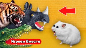 Хомяк сбегает от ОПАСНЫХ ХИЩНИКОВ по лабиринту 🐯🐊🦏 Видео для детей 🐹