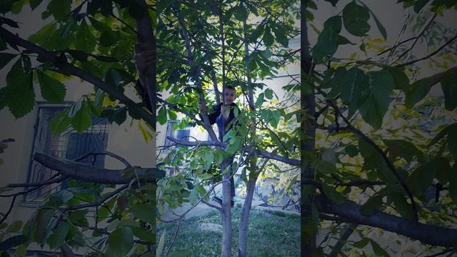 Солнце,воздух и вода наши лучшие друзья!!! смотреть онлайн