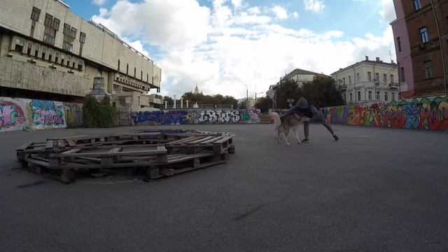 ЧЕЛОВЕК ПРОТИВ СОБАКИ. ШОК!!! САМОЕ ШОКИРУЮЩЕЕ ВИДЕО!!! смотреть онлайн
