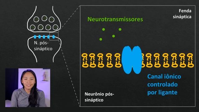 TRANSMISSÃO SINÁPTICA QUÍMICA: SINAPSE QUÍMICA | MK Fisiologia смотреть онлайн